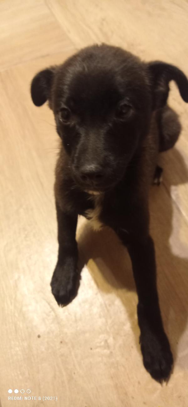 Taglia piccola 💗 Foto 3