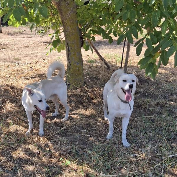 💚 SHERLOCK 💚 Foto 5