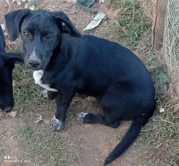 Rifiutato Prima Della Partenza 🥺🥺🥺