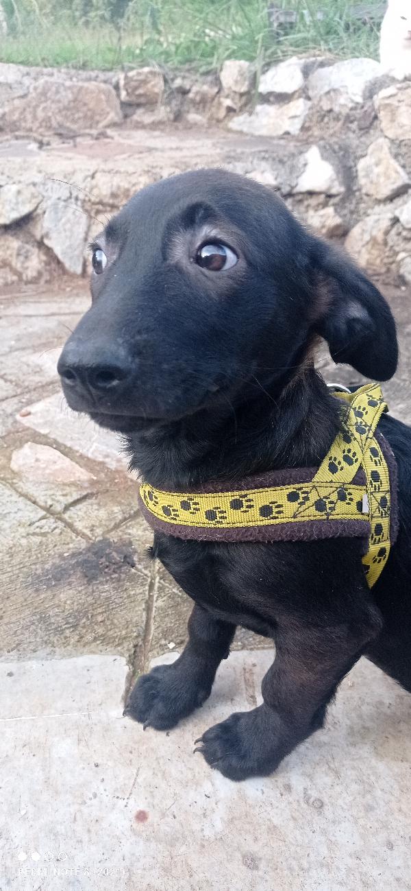 Ennesimo Rifiuto X Lei🥺🥺🥺