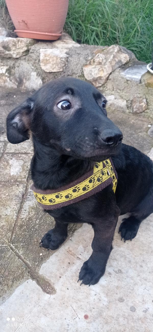 Ennesimo rifiuto x lei🥺🥺🥺 Foto 2