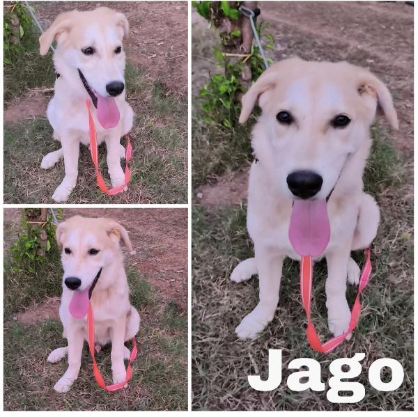 Un amore famiglia per Zack e Jago Foto 2