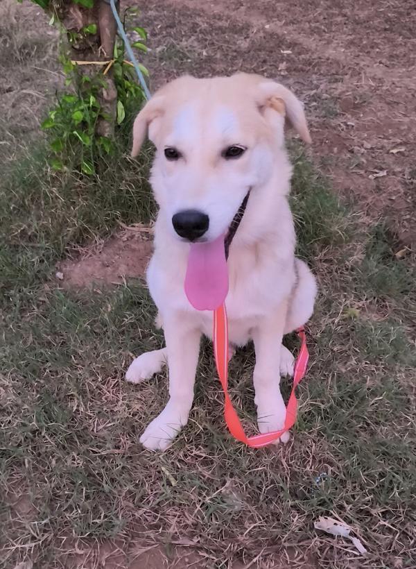 Un amore famiglia per Zack e Jago Foto 4