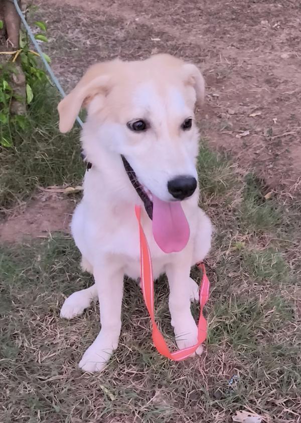 Un amore famiglia per Zack e Jago Foto 5