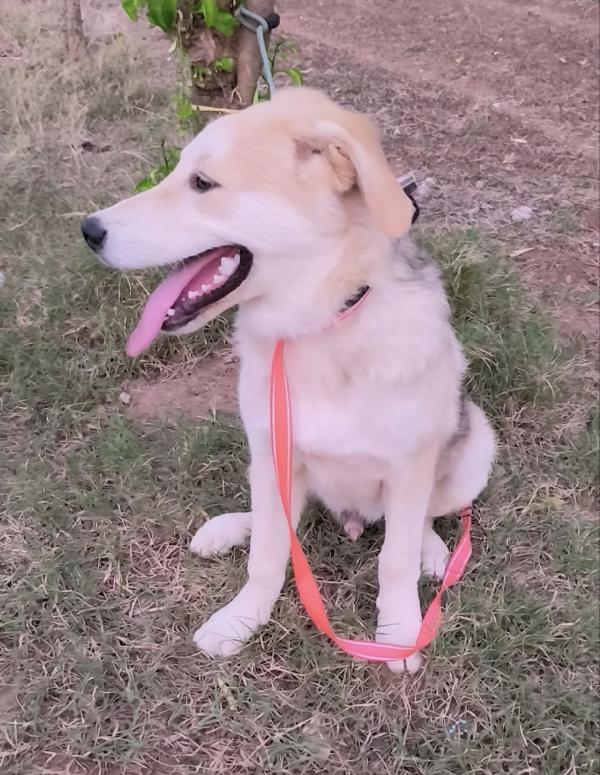 Un amore famiglia per Zack e Jago Foto 6