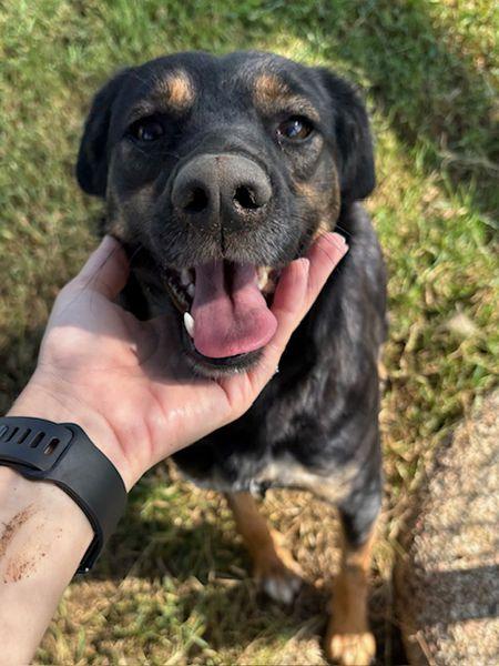 Tac, giovanissima, piccola e dolce Foto 2