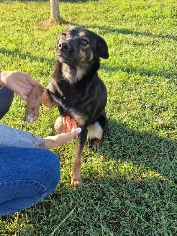 Tac, giovanissima, piccola e dolce Foto 9