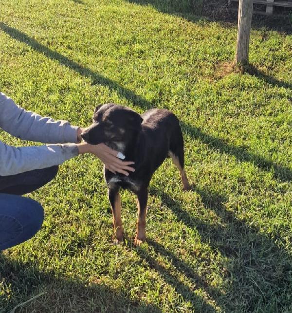 Tac, giovanissima, piccola e dolce Foto 10