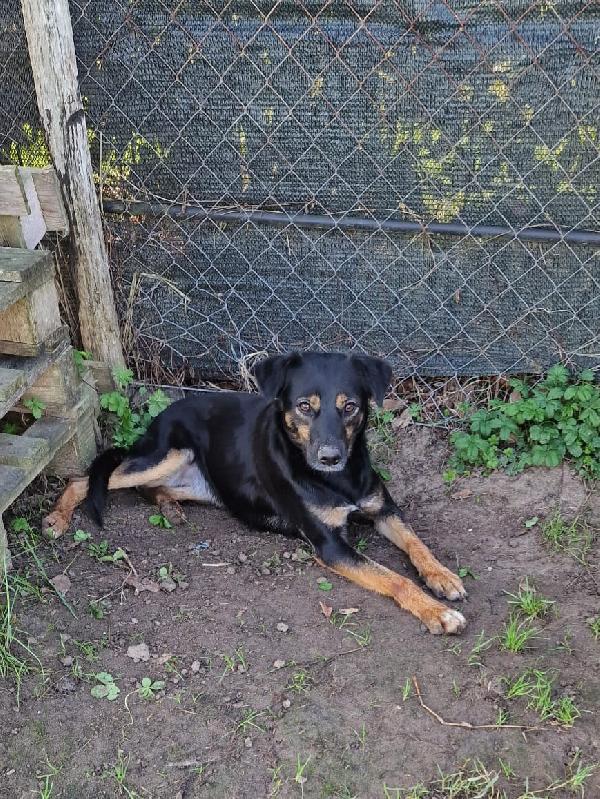 Tac, giovanissima, piccola e dolce Foto 11