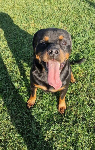 Aaron, un cuore grande come lui Foto 7