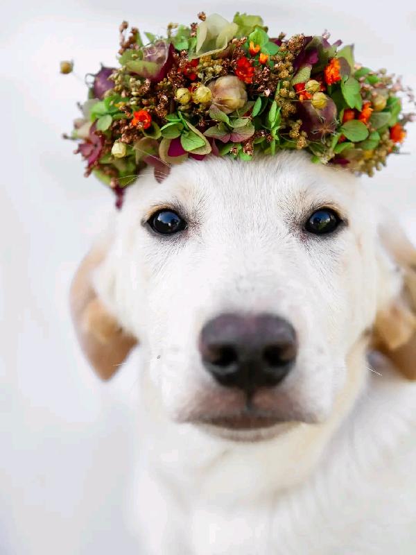 Charlie e Cherry  Foto 3