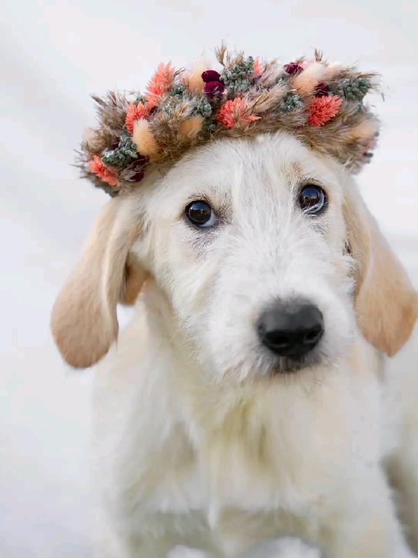 Charlie e Cherry  Foto 4