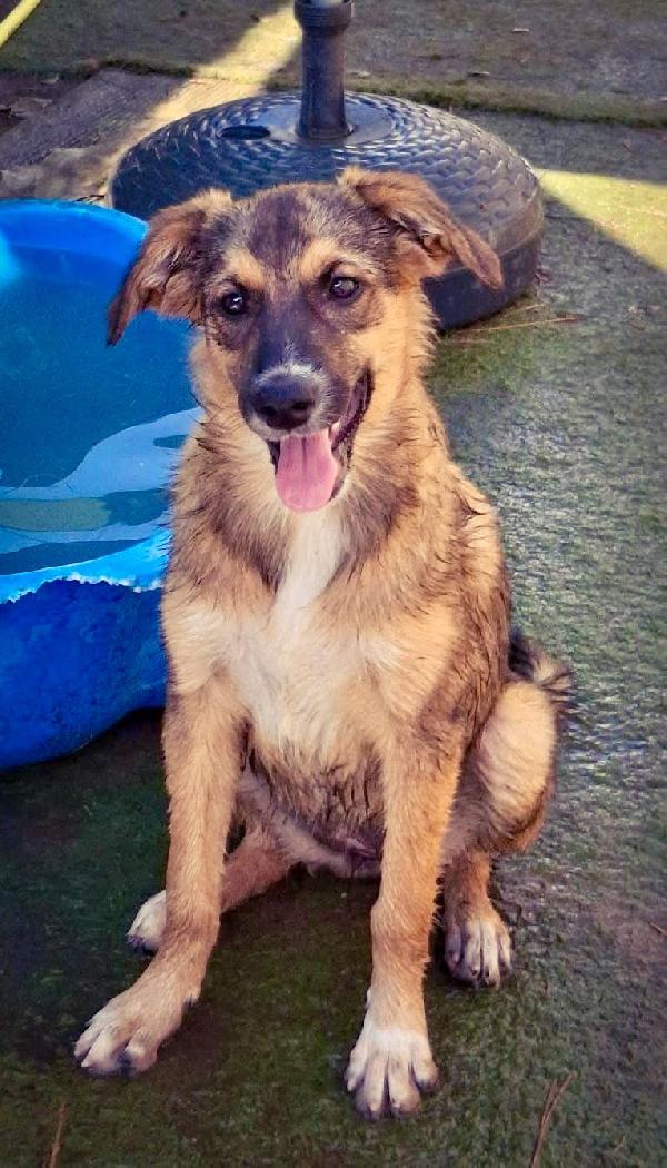 Brenda 🏩❣️ Foto 7