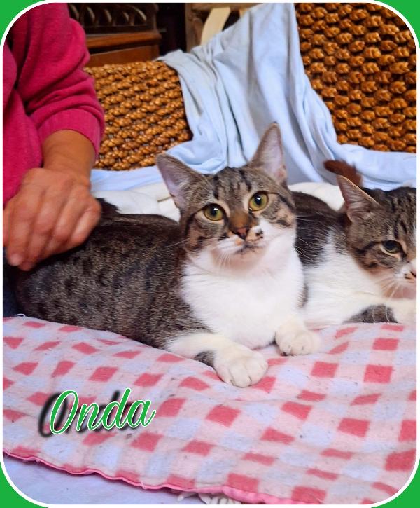 Onda E Marea: Sempre Unite