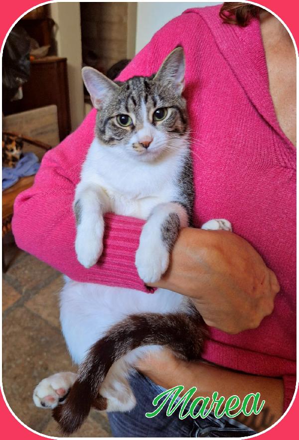 ONDA E MAREA: SEMPRE UNITE Foto 2