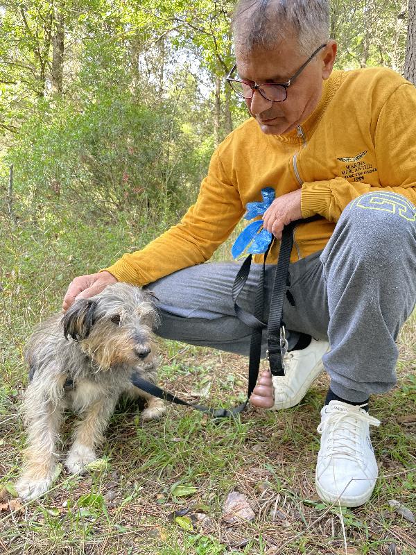 Alice simil yorkshire 10 anni Foto 6