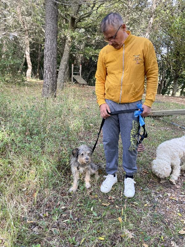 Alice simil yorkshire 10 anni Foto 8