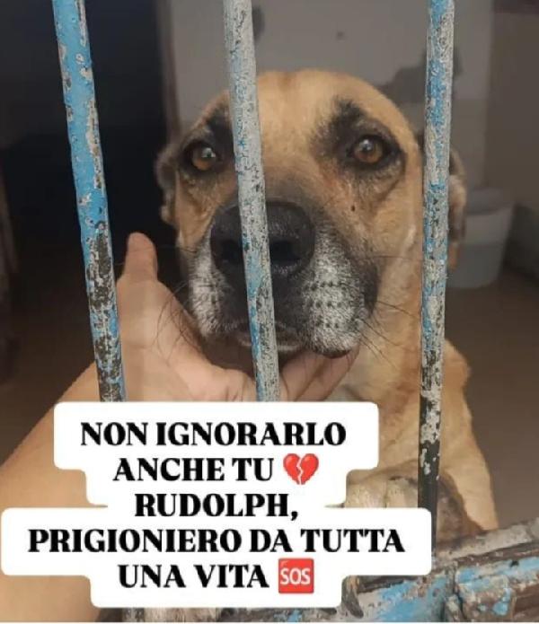 Rudolph 8Anni Di Buio A Catena In Box! Napoli