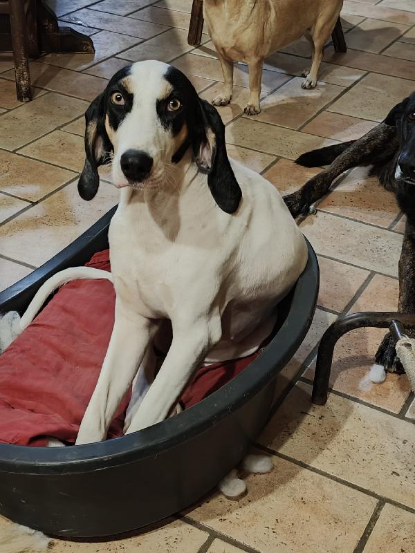 Ugo Merita Una Seconda Possibilità 