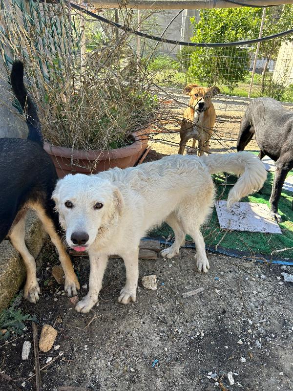 1 anno: rinchiuso a morire Foto 4