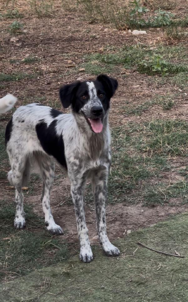 Serena🐾💘🐾 Foto 2