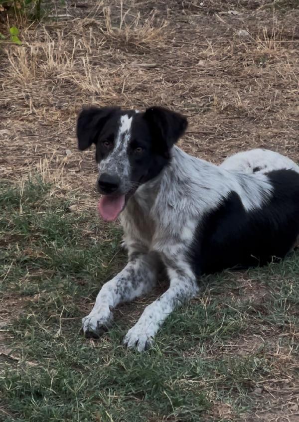 Serena🐾💘🐾 Foto 3