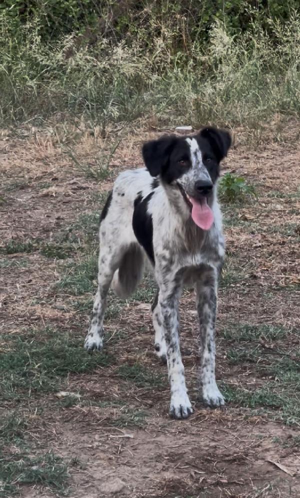 Serena😘🧸🐕 Foto 4