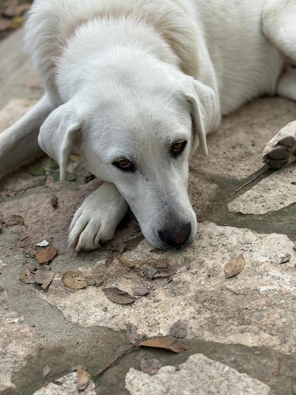 Ares✨💜✨ Foto 6