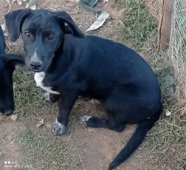 🥺🥺🥺🥺🥺🥺🥺