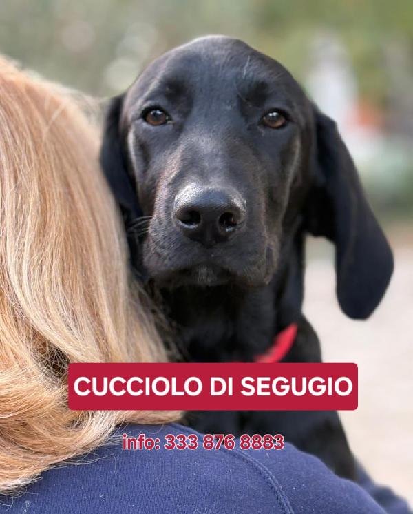 Alex🌹🐾🏩 Foto 2