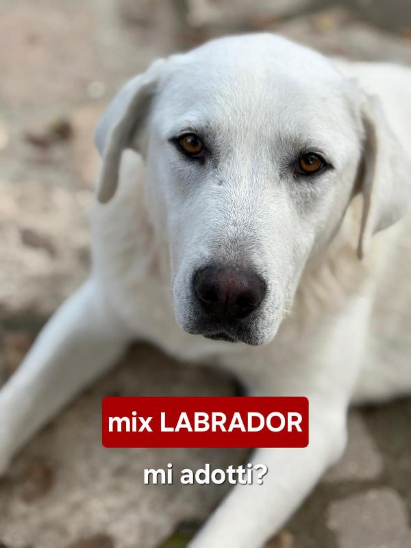 Eris ...una piccola dea Foto 6