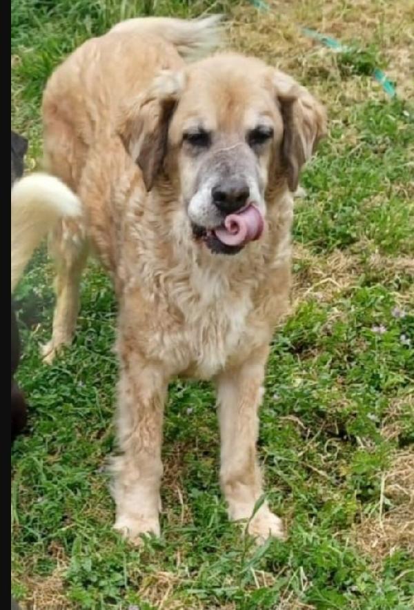 Sara 12Anni Non Ha Mai Avuto 1Casa.roma