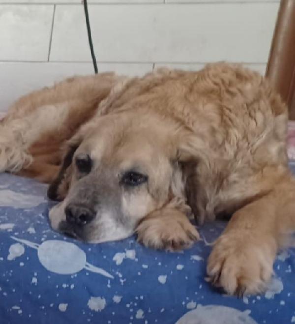 Sara 12anni NON HA MAI AVUTO 1CASA.ROMA Foto 2