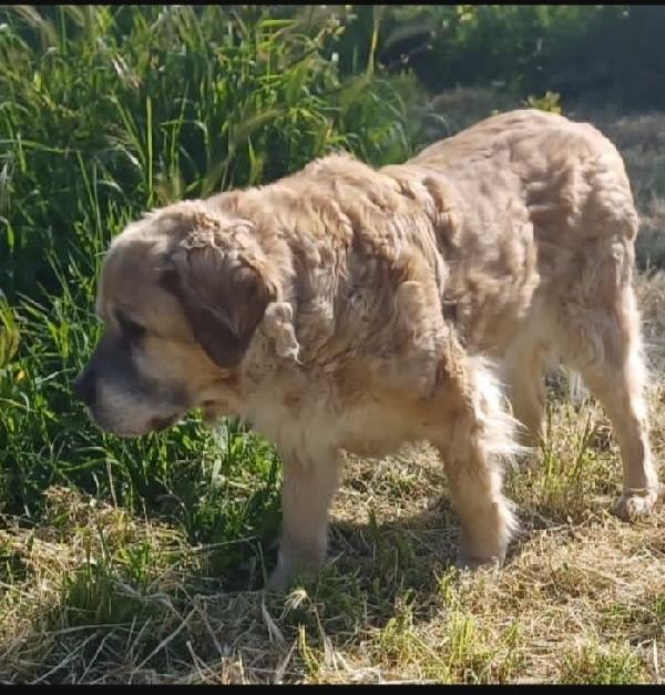 Sara 12anni NON HA MAI AVUTO 1CASA.ROMA Foto 5