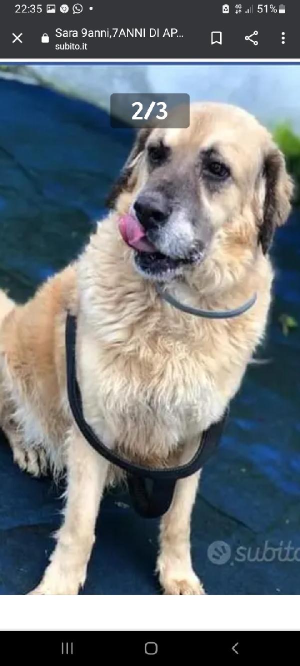 Sara 12anni NON HA MAI AVUTO 1CASA.ROMA Foto 7