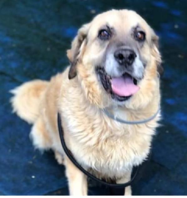 Sara 12anni NON HA MAI AVUTO 1CASA.ROMA Foto 6