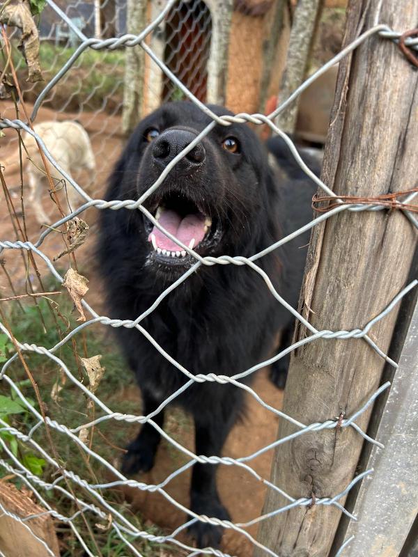 Masha Splendida Giovanotta Dal Manto Nero Cerca Famiglia 