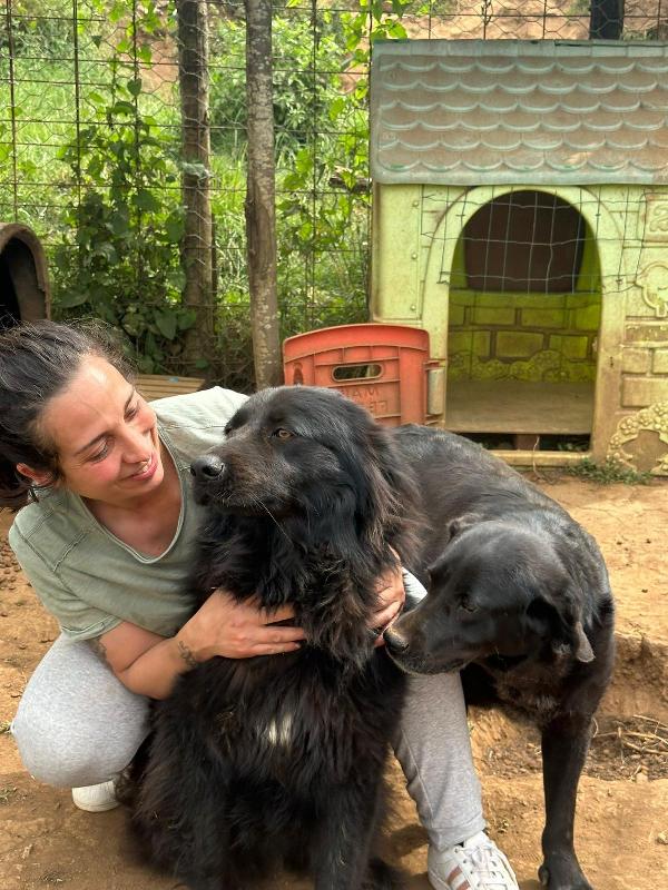 Masha splendida giovanotta dal manto nero cerca famiglia  Foto 5
