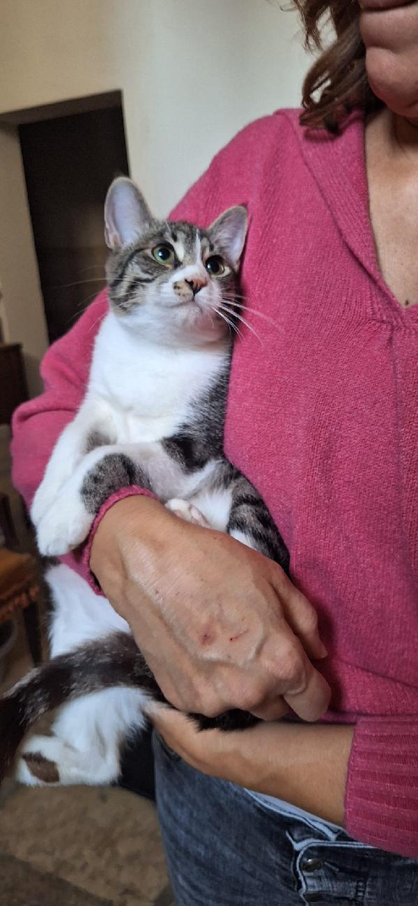 Marea Aspetta Il Suo Mare D'amore