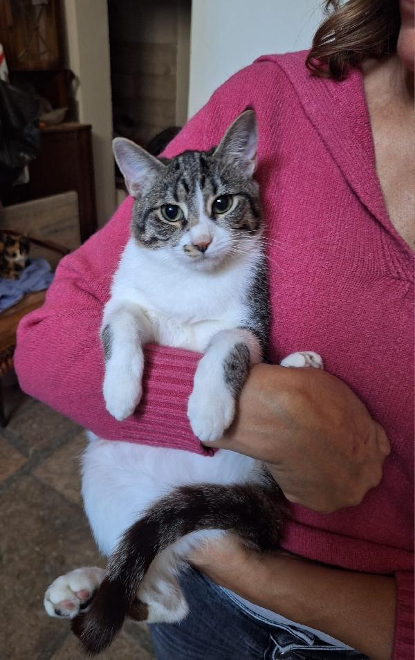 Marea aspetta il suo mare d'amore Foto 2