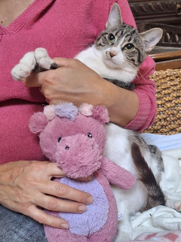 Marea aspetta il suo mare d'amore Foto 3