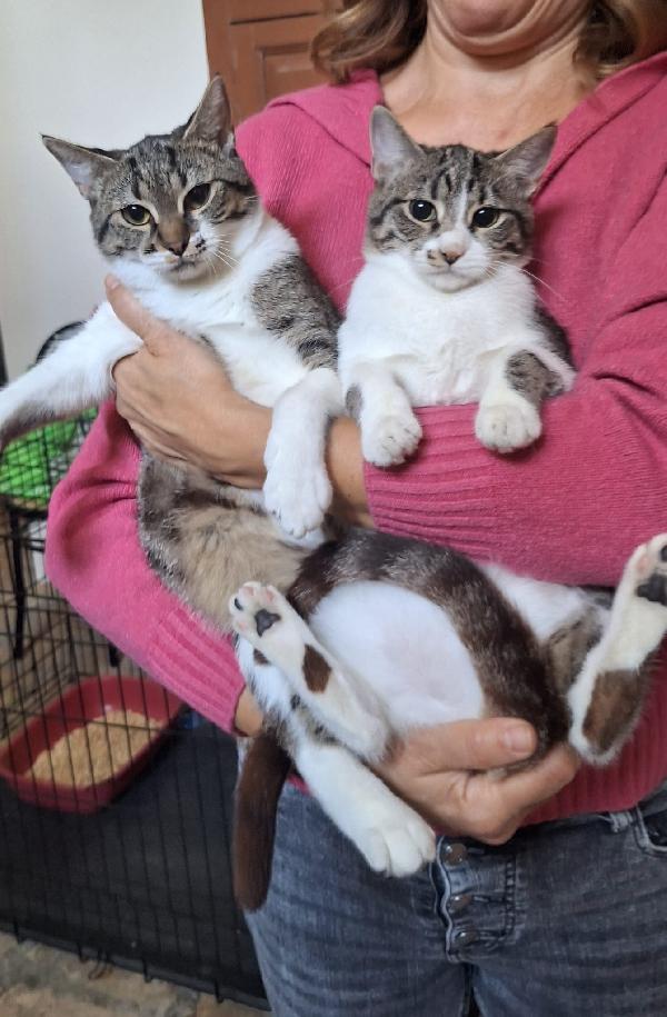 Marea aspetta il suo mare d'amore Foto 4