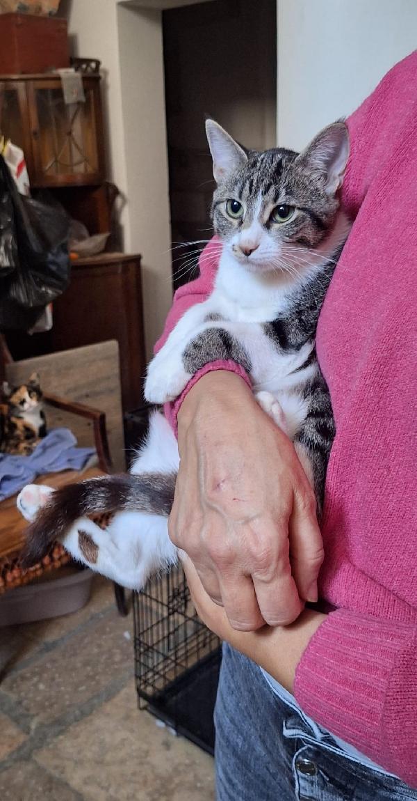 Marea aspetta il suo mare d'amore Foto 5