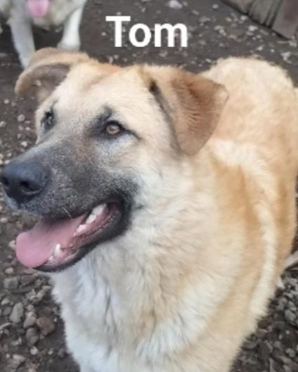 18mesi fratelli buoni e dolci tg grande BASILICATA HELP Foto 7