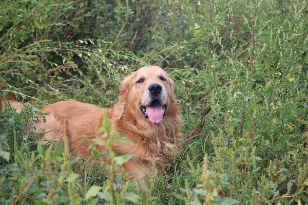 Marley, solo solo in gabbia  Foto 5