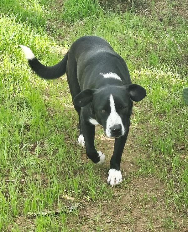 Mi chiamo Oscar aiutami ad andare a casa  Foto 2