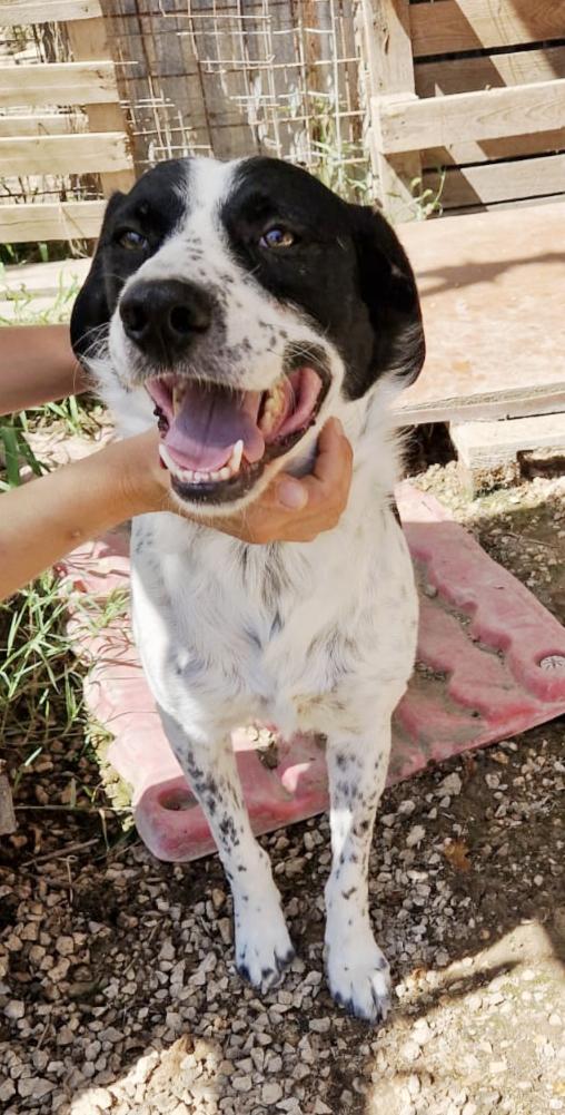 Una famiglia per il bellissimo Hervé  Foto 5
