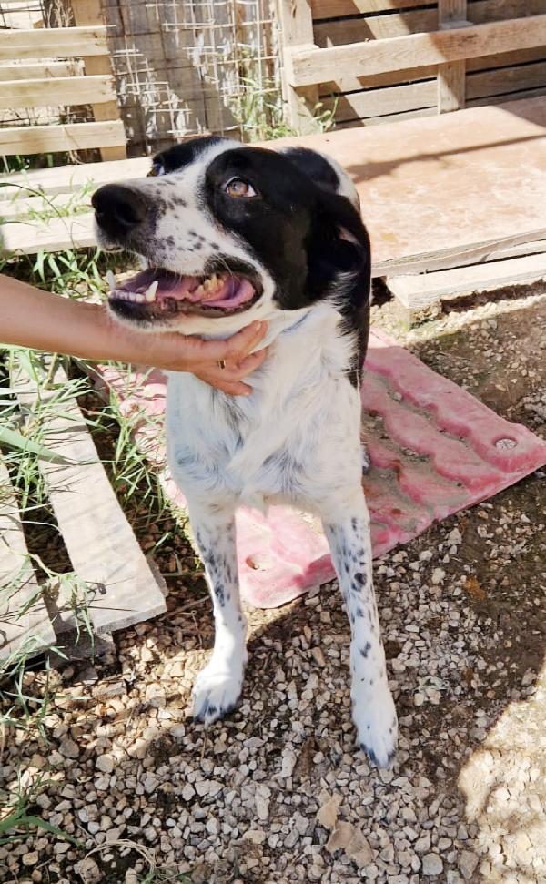 Una famiglia per il bellissimo Hervé  Foto 7