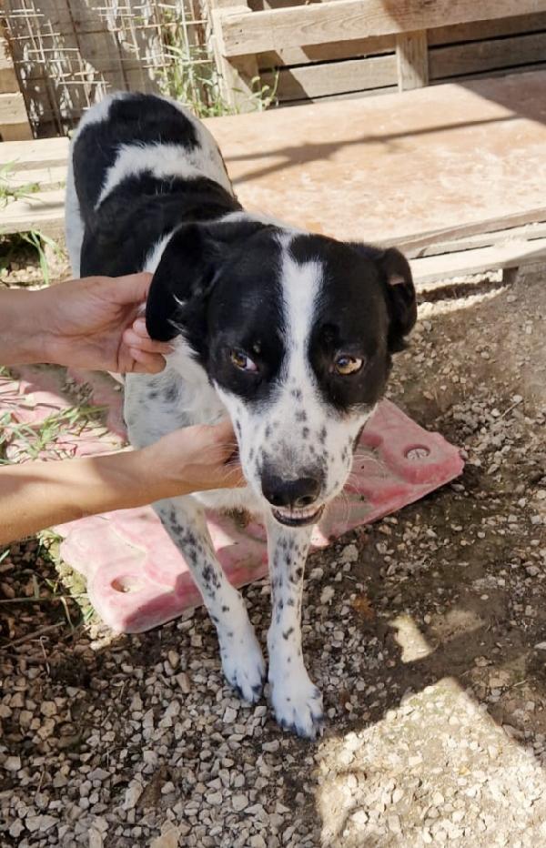 Una famiglia per il bellissimo Hervé  Foto 10
