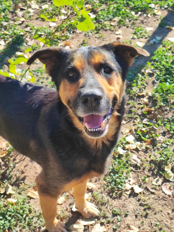 Ettore, La Mamma Muore E Lui Finisce In Gabbia 